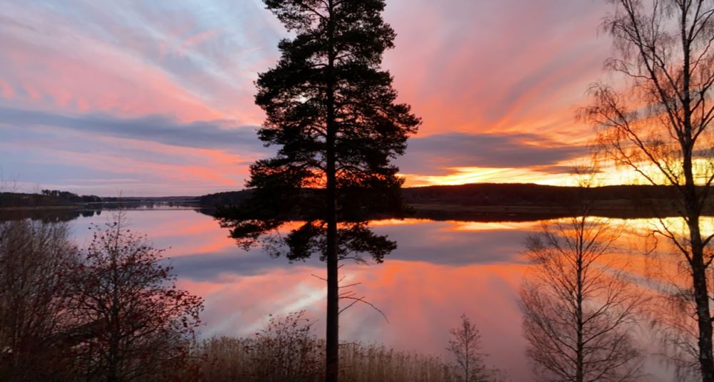 Algot Larsborg - IMG 2491