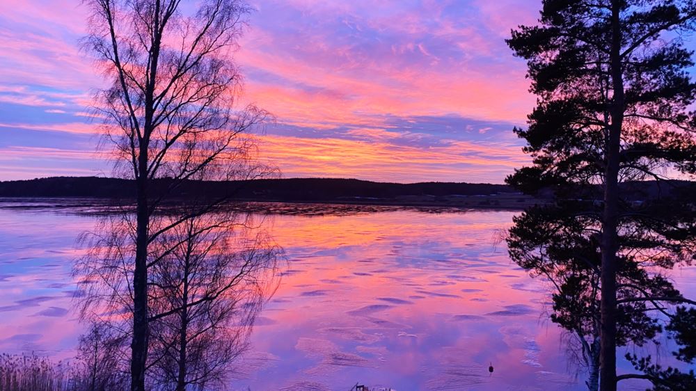 Algot Larsborg - IMG 2593