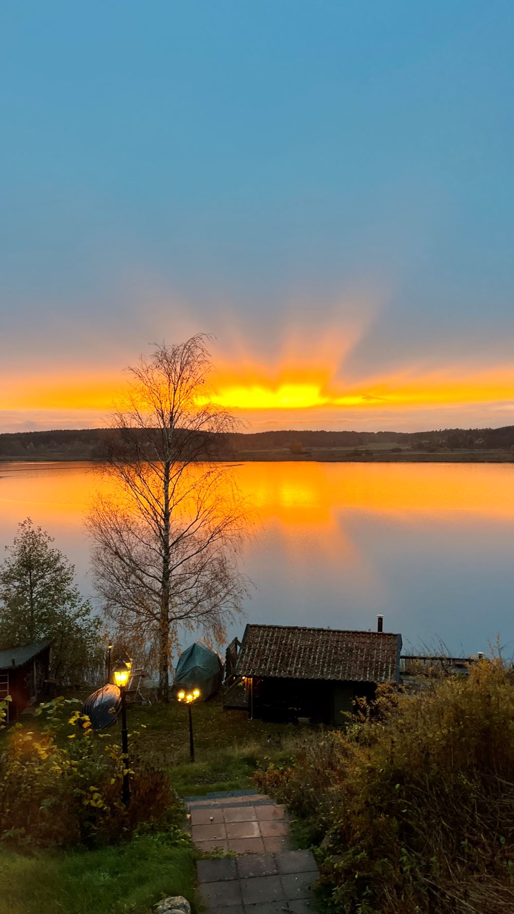 Algot Larsborg - IMG 6393